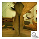Similarity of hulls and bows of hundred years old outriggers and the new catamarans