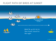 flight path of birds at sunset